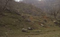 IMG_20170120_125951