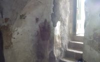 IMG_20170120_135849